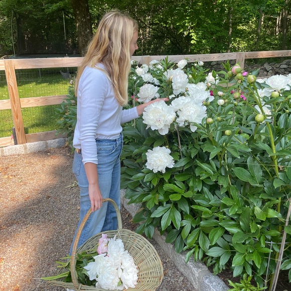 Meet your Posher, Emily - Picture 1 of 1